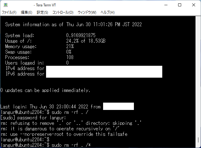 「rm -rf . /*」コマンドの実行