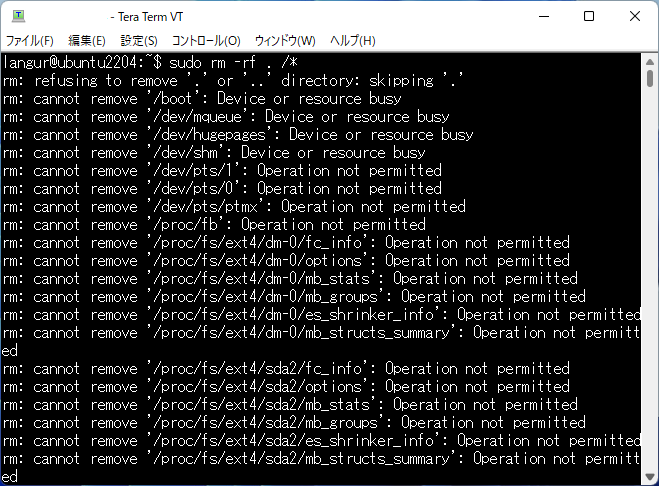 「rm -rf . /*」コマンドの実行結果